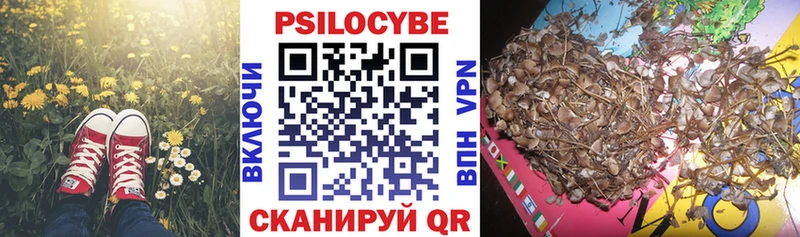 Галлюциногенные грибы Psilocybe  Купить закладки  Магнитогорск 